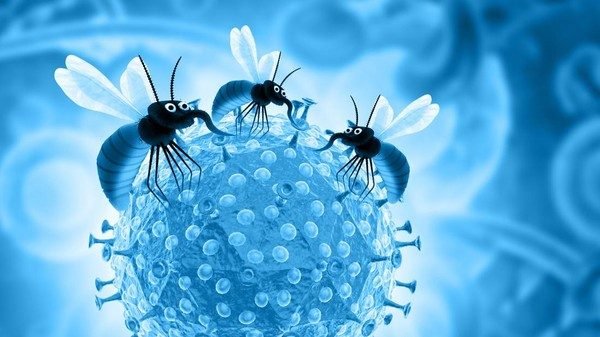 Apa Itu Malaria?